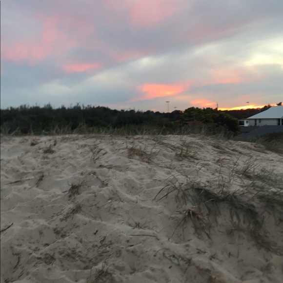 Meet your Posher, Arwen - Picture 1 of 1